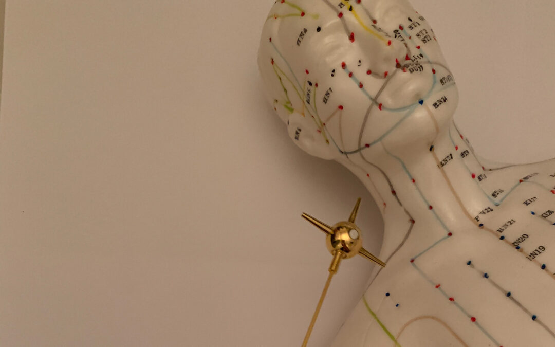 Werken met de biotensor