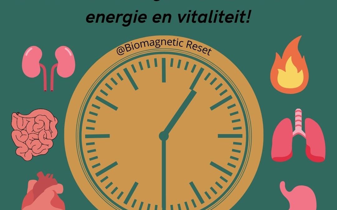 24 uur met de orgaanklok: maximale energie en vitaliteit!